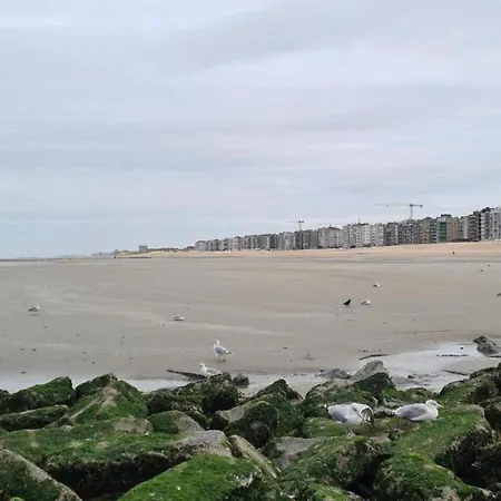 Apartament In With Terrace & Garden, Cleaning Included Koksijde